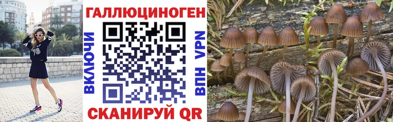 Псилоцибиновые грибы мицелий гидра онион Юхнов